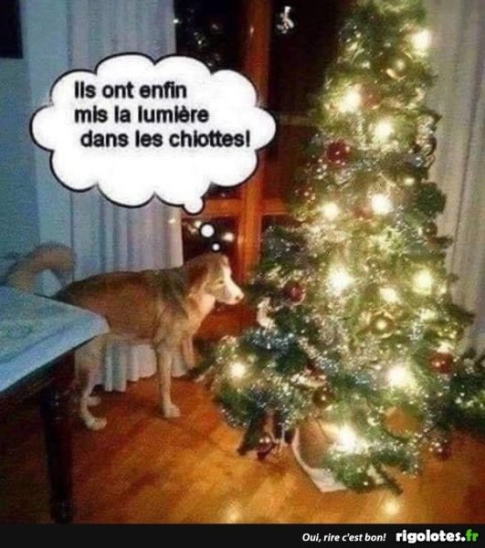 20231211.jpgmm12.thumb.jpg.d6f666f66ab0c9d434c30c200ab49309.jpg