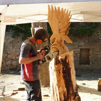 accueil-bois.jpg.884c20ae51fb5c94d3acd5093c19c448.jpg