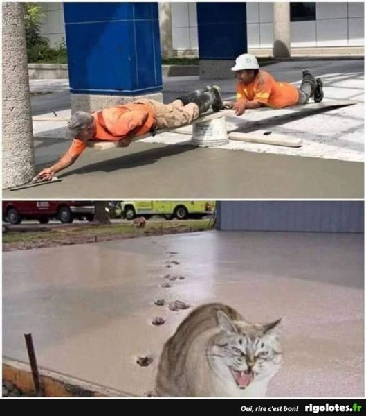 20181003.thumb.jpg.32265ba607f2d344d02ce465ad4b1d0c.jpg