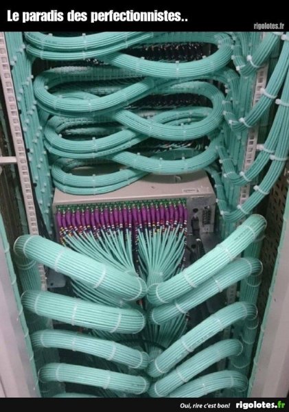 20221114.thumb.jpg.6e7e4aacc1913c3c466cd50dcac10353.jpg