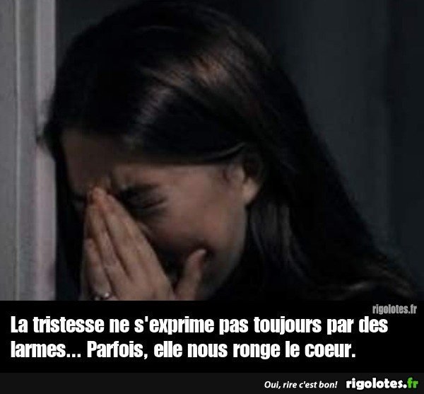 20240209.jpgl3.jpg.77581a0f01478bf1b3d6e2530e347c39.jpg