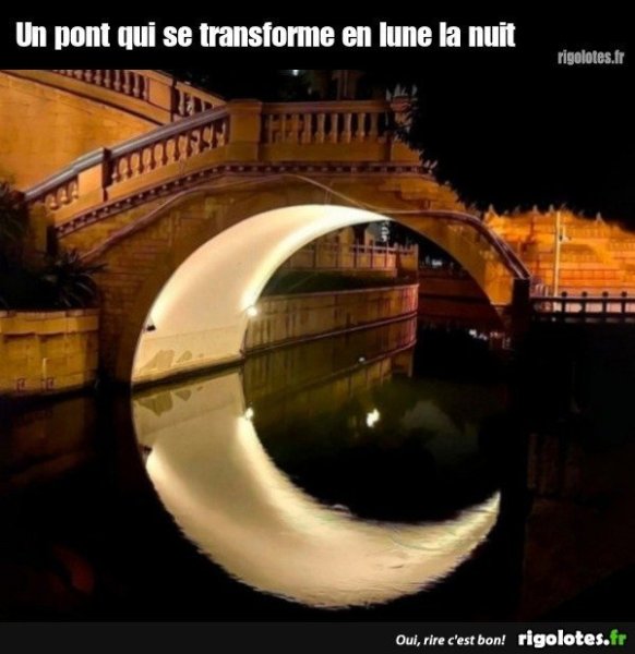 20230504.jpgu.thumb.jpg.070cd28fbaf7477f244e524bdc29cdde.jpg