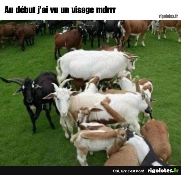 20231006.jpgz.jpg.d98b0c8ee84c45ad9c822dd27557516a.jpg