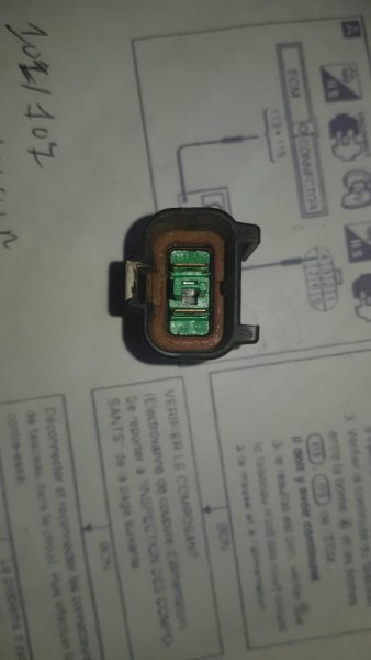 image.thumb.jpeg.26c5fd0e66cf22018cbc13e2981ca4e7.jpeg