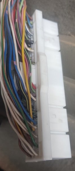 image.thumb.jpeg.6a5f2d8db3db07208208e7b8ad34798d.jpeg