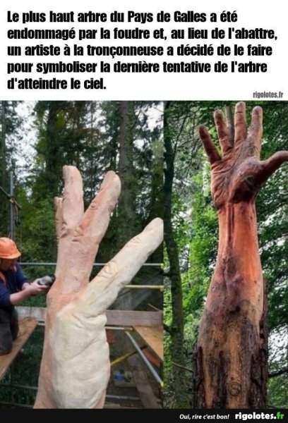 20240626.jpga.thumb.jpg.76bbf404d7f234080a3b7b6448936ce9.jpg