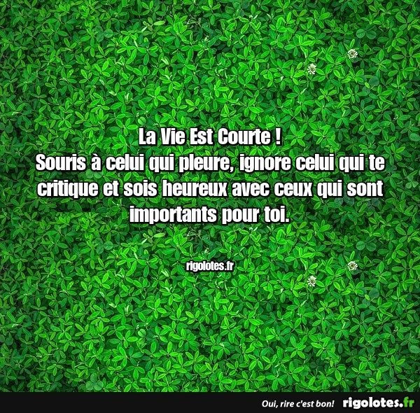 20230901.jpgbn.jpg.43bfbbd3f2ad11e976025b2dac3acf76.jpg