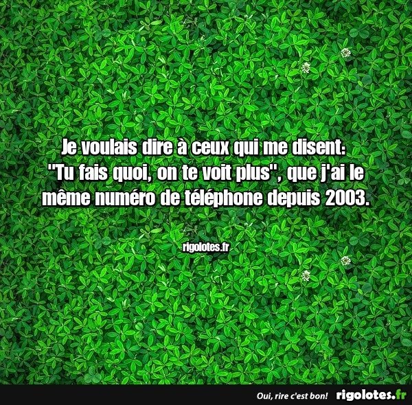20240828.jpgdddd.jpg.e0f6275707bd0b22f77c103c29143c3d.jpg