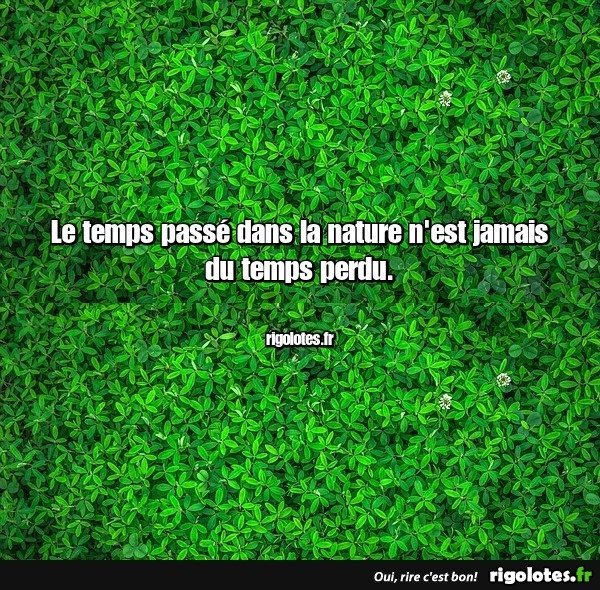 20240902.jpgfv.jpg.cdf885b5063dea315e923090c3bd7f95.jpg