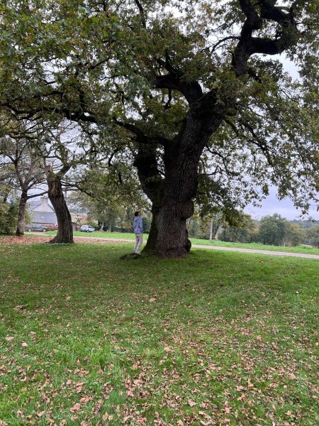 IMG_4634.jpeg