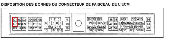 ecm_connecteur..png