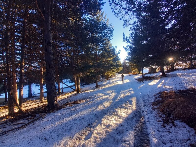 20241229_160320.jpg