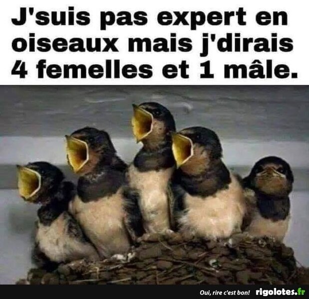 20201209.thumb.jpg.7829fde052de563163d2340c54d55d8b.jpg