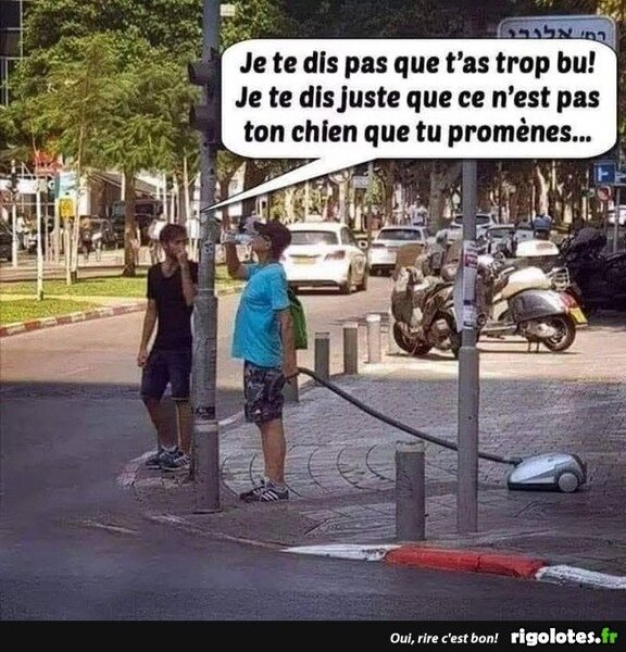 20250321.jpgtyu.thumb.jpg.ea44ee6b40e62a4e11d31c3078d4a521.jpg