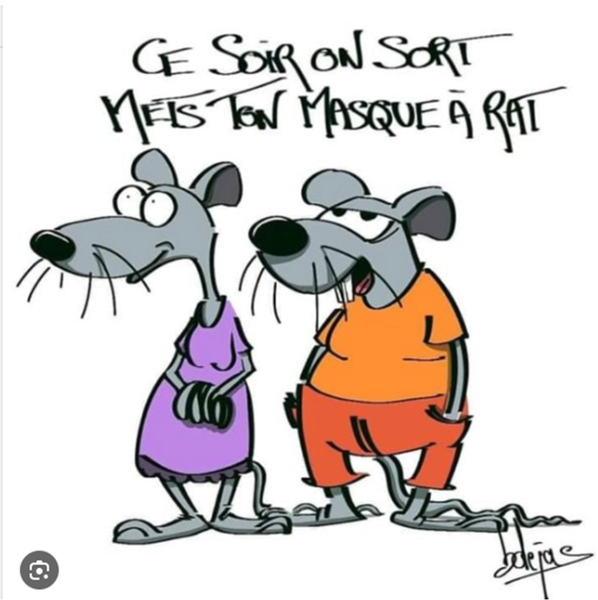 rat10.png